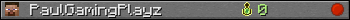 PaulGamingPlayz userbar 350x20