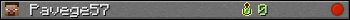 Pavege57 userbar 350x20
