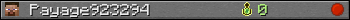 Payage923294 userbar 350x20