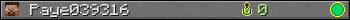 Paye039316 userbar 350x20