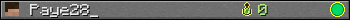 Paye28_ userbar 350x20