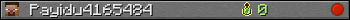 Payidu4165484 userbar 350x20