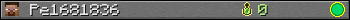 Pe1681836 userbar 350x20