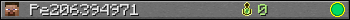 Pe206394971 userbar 350x20