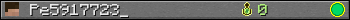Pe5917723_ userbar 350x20