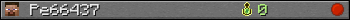 Pe66437 userbar 350x20