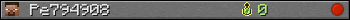 Pe794908 userbar 350x20