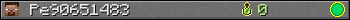 Pe90651483 userbar 350x20