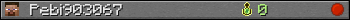 Pebi903067 userbar 350x20