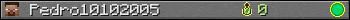 Pedro10102005 userbar 350x20