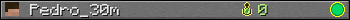 Pedro_30m userbar 350x20