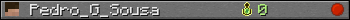 Pedro_G_Sousa userbar 350x20