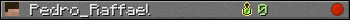 Pedro_Raffael userbar 350x20