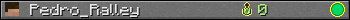 Pedro_Ralley userbar 350x20