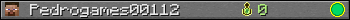 Pedrogames00112 userbar 350x20