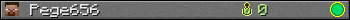 Pege656 userbar 350x20