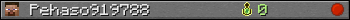 Pehaso919788 userbar 350x20