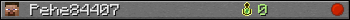 Pehe84407 userbar 350x20