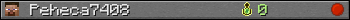 Peheca7408 userbar 350x20