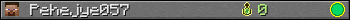 Pehejye057 userbar 350x20
