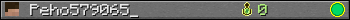 Peho579065_ userbar 350x20
