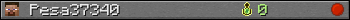 Pesa37340 userbar 350x20