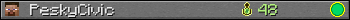 PeskyCivic userbar 350x20