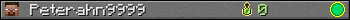 Peterahn9999 userbar 350x20