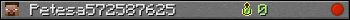 Petesa572587625 userbar 350x20