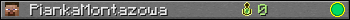 PiankaMontazowa userbar 350x20