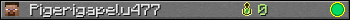 Pigerigapelu477 userbar 350x20