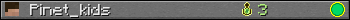 Pinet_kids userbar 350x20