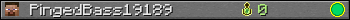 PingedBass19189 userbar 350x20