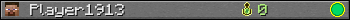 Benutzerleisten 350x20 für Player1913