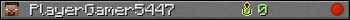 PlayerGamer5447 userbar 350x20