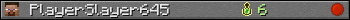 PlayerSlayer645 userbar 350x20