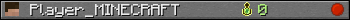 Player_MINECRAFT userbar 350x20