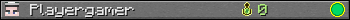 Playergamer userbar 350x20