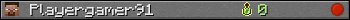 Playergamer91 userbar 350x20