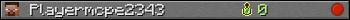 Playermcpe2343 userbar 350x20