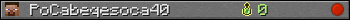 PoCabeqesoca40 userbar 350x20