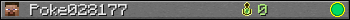 Poke028177 userbar 350x20