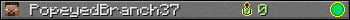 PopeyedBranch37 userbar 350x20