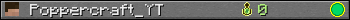Poppercraft_YT userbar 350x20