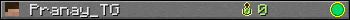 Pranay_TG userbar 350x20