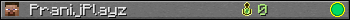 PranijPlayz userbar 350x20