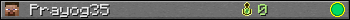 Prayog35 userbar 350x20