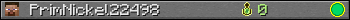 PrimNickel22498 userbar 350x20