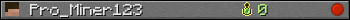 Pro_Miner123 userbar 350x20