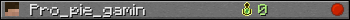 Pro_pie_gamin userbar 350x20